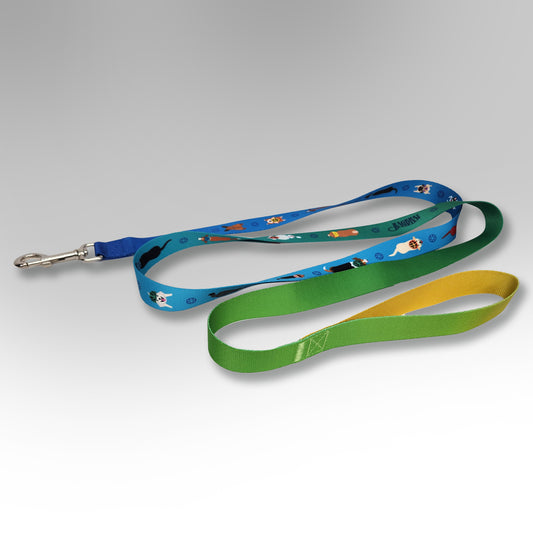 Dog Leash